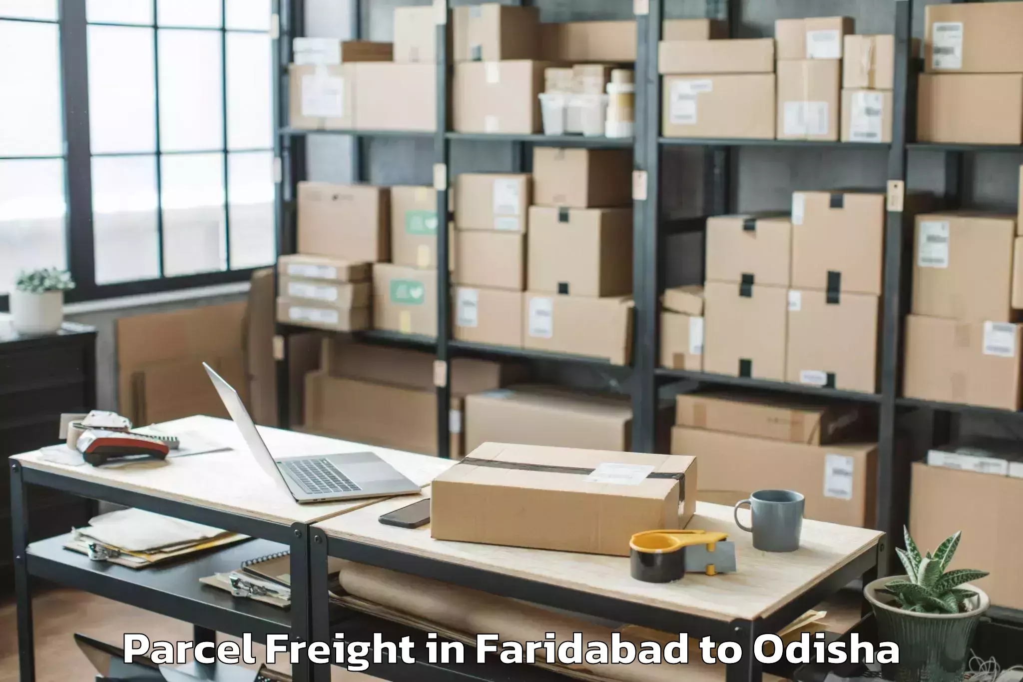 Hassle-Free Faridabad to Brajarajnagar Parcel Freight